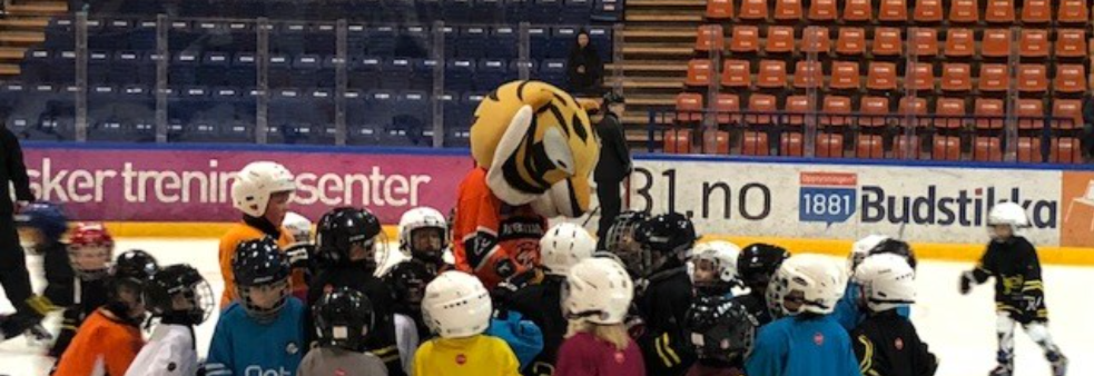 Skøyte- og hockeyskole - Vinter 2019